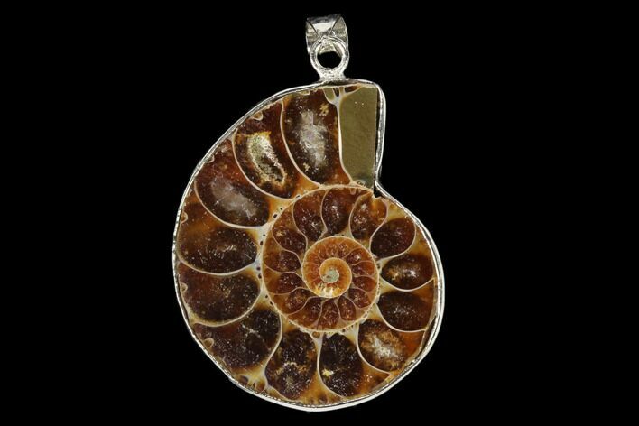 Fossil Ammonite Pendant - Million Years Old #151980